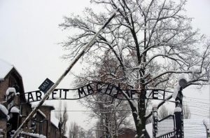 Auschwitz-Work_Set_Free
