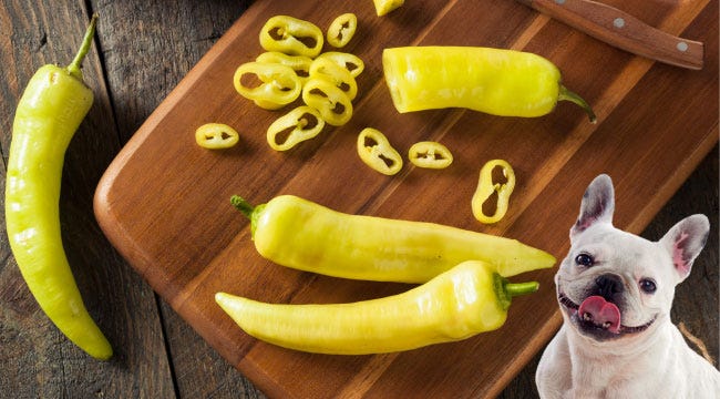 Can Dogs Eat Sweet Banana Peppers? Everything You Need to Know