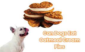 Oatmeal Cream Pies: A Dog-Friendly Treat or a Health Hazard?