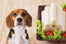 Can Dogs Eat Hearts of Palm? A Pet Owner’s Safety Checklist