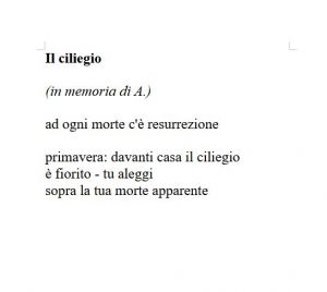 Il ciliegio