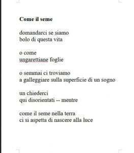 Come il seme