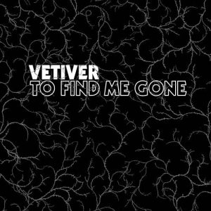 Vetiver - To find me gone