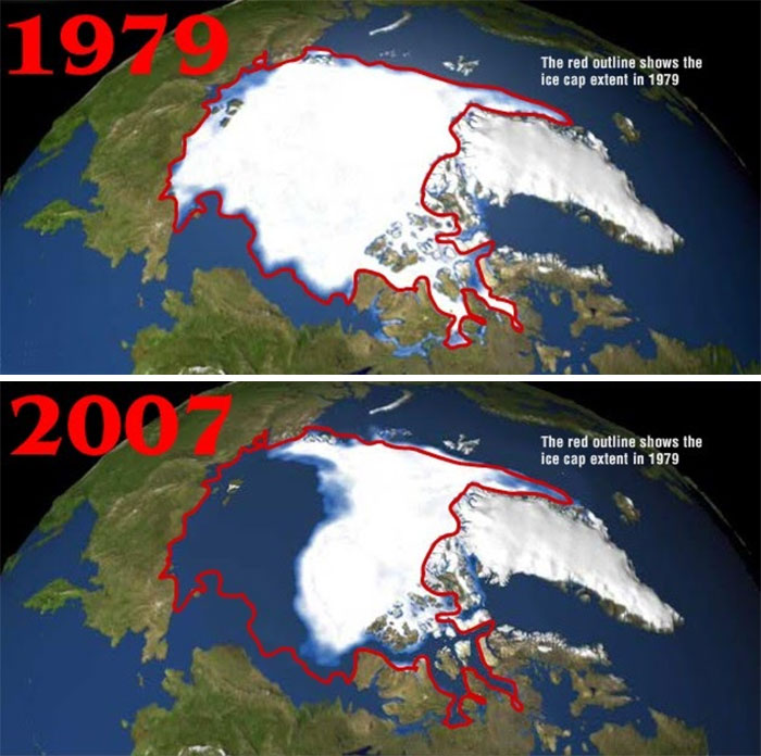 sad-10-year-challenge-nature-memes-30-5c4841159e4df__700