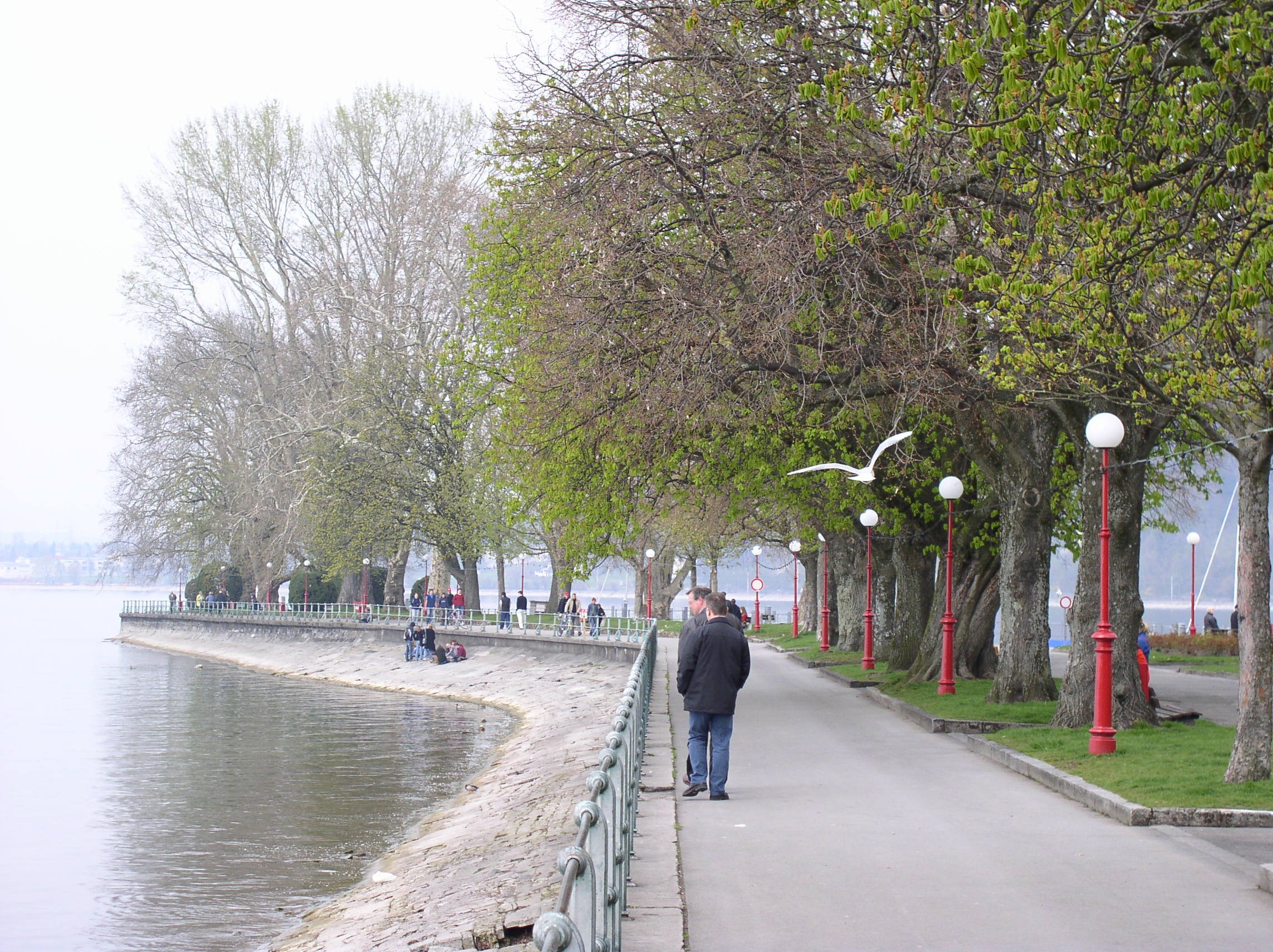 Seepromenade_Bregenz