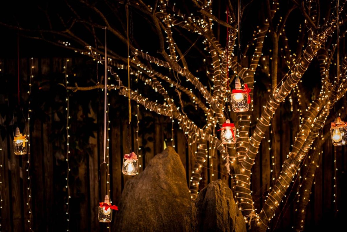 78093-fairy-lights-at-wedding-architectural-design-india-tree