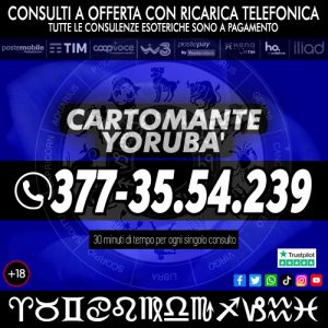 cartomante-yoruba-62 (60)