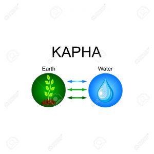 Kapha dosha - ayurvedic human body constitution. Combination of earth and water elements. Vector illustration.