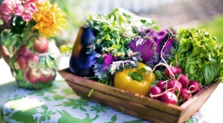 Insalata di foglie. Quali miscele ci sono e cosa farne