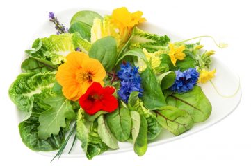 5 fiori commestibili che migliorano la digestione e decorano i pasti