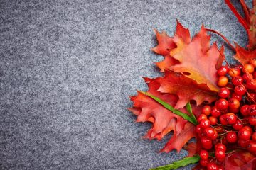 5 modi per armonizzare Vata Dosha in autunno