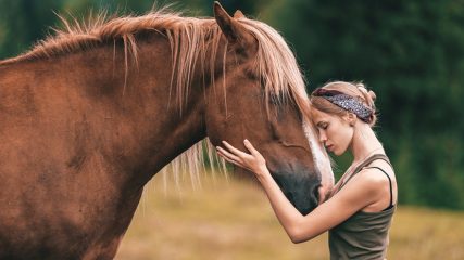 Come guariscono gli animali Storie vere e fatti scientifici sulla terapia animale