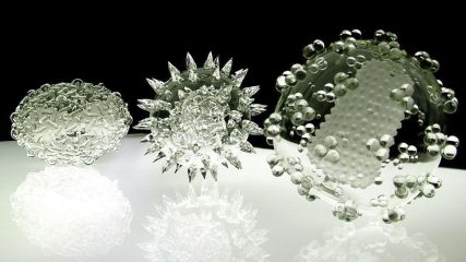 Progetto fotografico Microbi di vetro