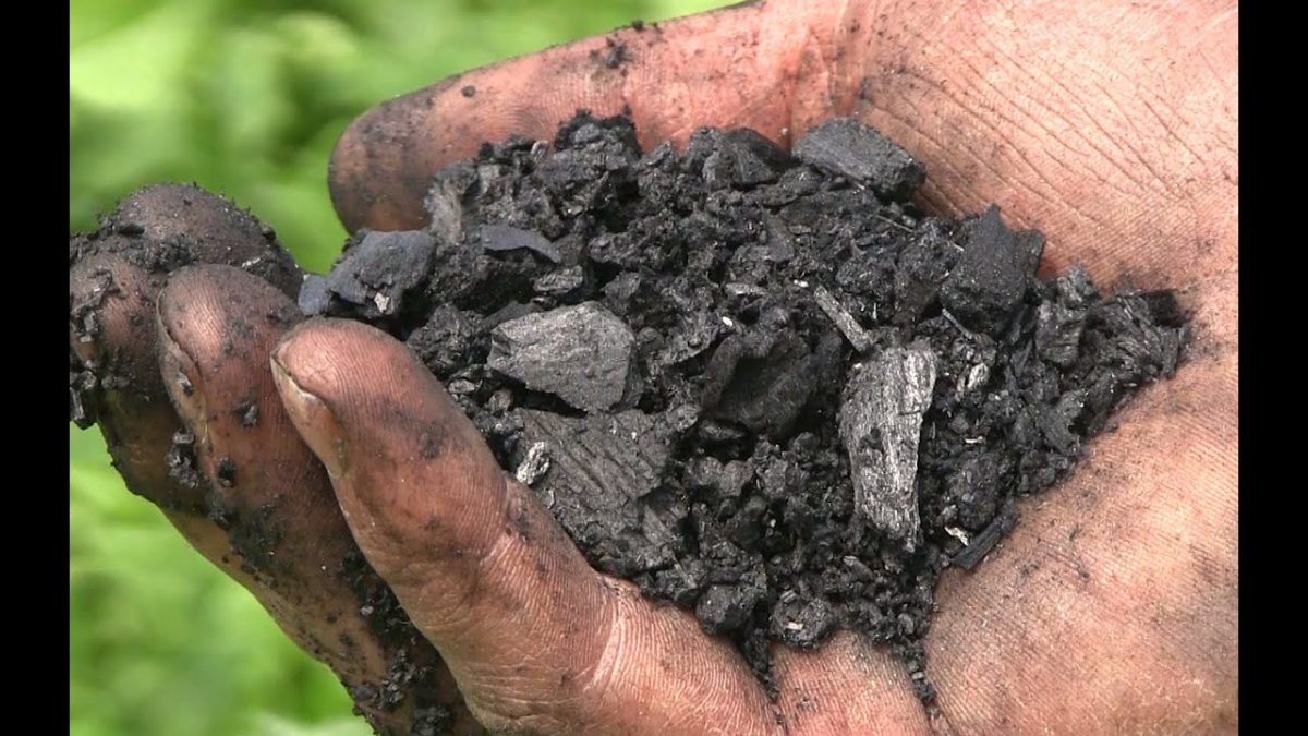 Biochar Market Report 2022-27: Size, Industry Trends, Analysis, Share, Growth