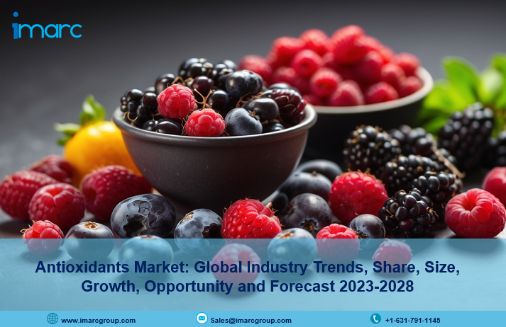 Antioxidants Market Size, Industry Trends, Share, Growth and Report 2023-2028