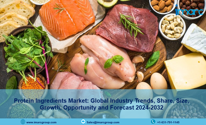 Protein Ingredients Market Size, Industry Trends, Share, Growth and Report 2024-2032