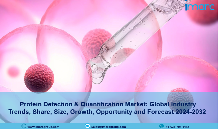 Protein Detection & Quantification Market Overview 2024-2032, Demand by Regions, Types and Analysis of Key Players