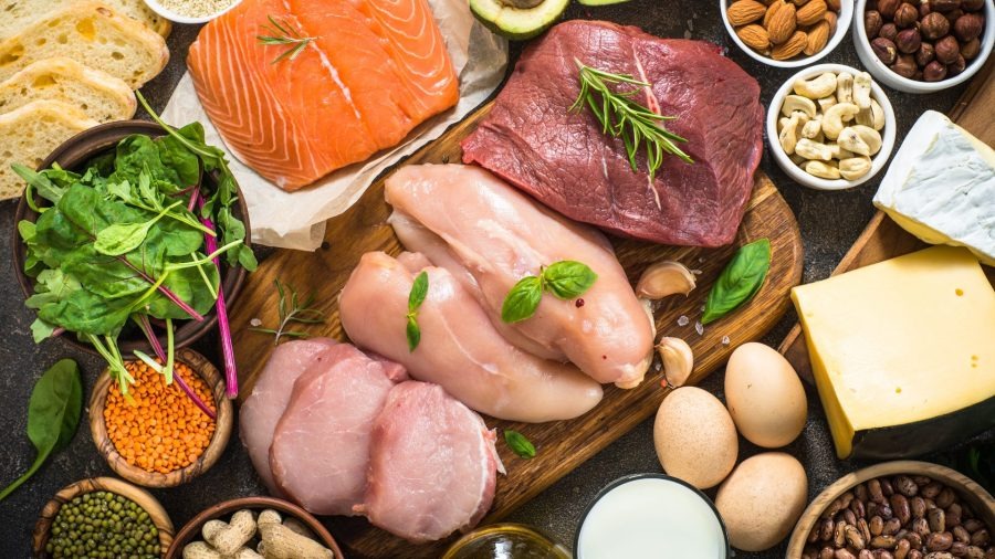 Protein Ingredients Market Report 2024, Industry Trends, Growth, Size and Forecast Till 2032