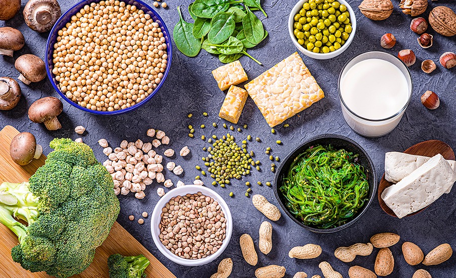 Food Alternative Protein Market