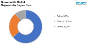 Snowmobile Market segment