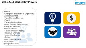 Malic Acid Market Key Players