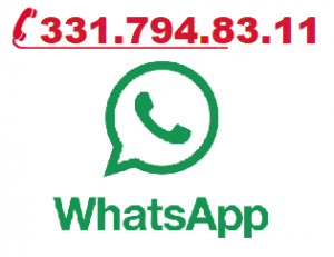 WhatsApp-DI Group telefono - 3317948311 whatsApp