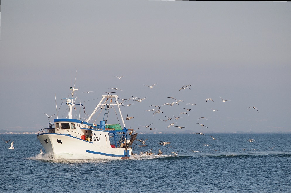 Un peschereccio rientra al porto di Gaeta