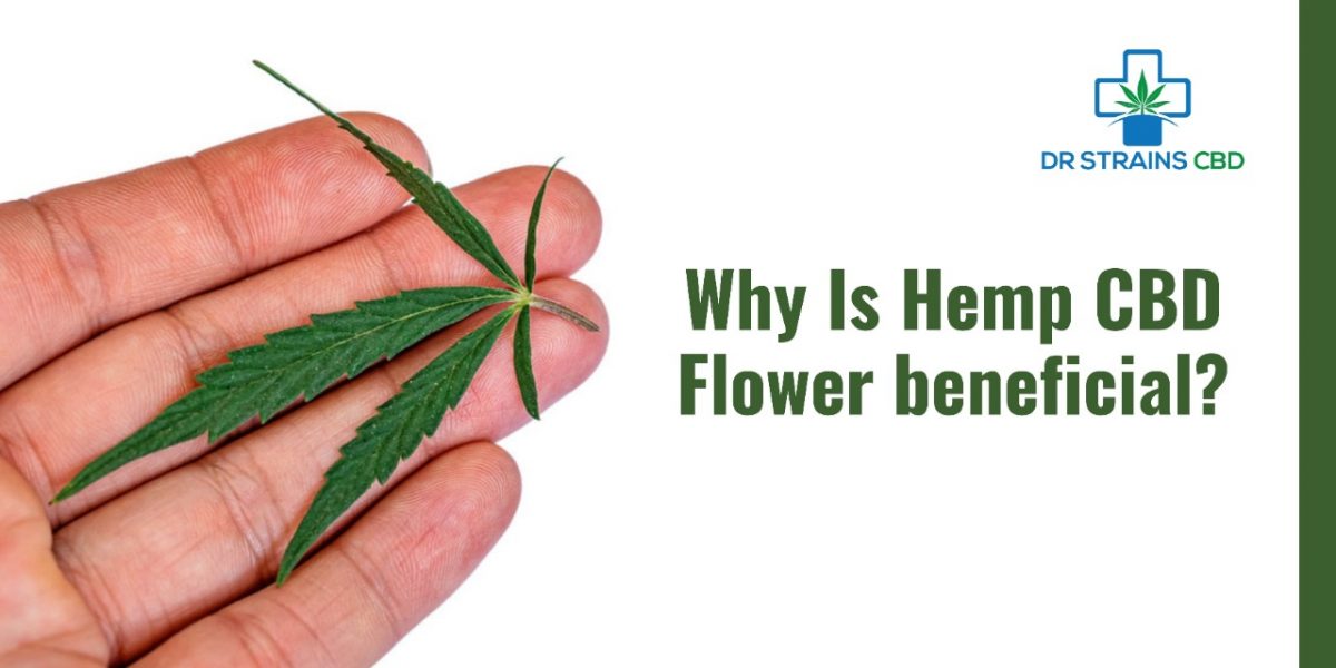 Why Is Hemp CBD Flower Beneficial?