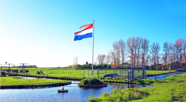 Working Holidays in Netherlands