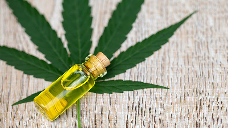 CBD Oil; All Information