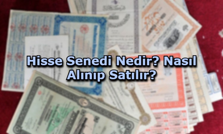 Hisse Senedi Nedir and What Stock?