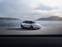 I cavi di ricarica per la Tesla Model Y incarnano