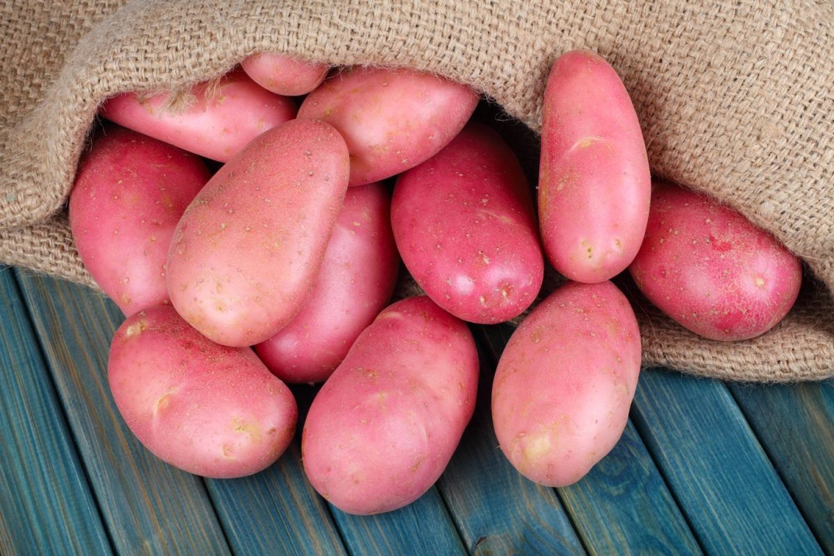 Hidden Benefits Of Red Potatoes