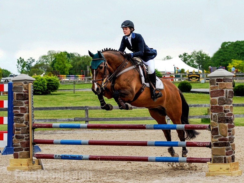 Jumping Ahead: The Advantages Of Plastic Horse Jumps