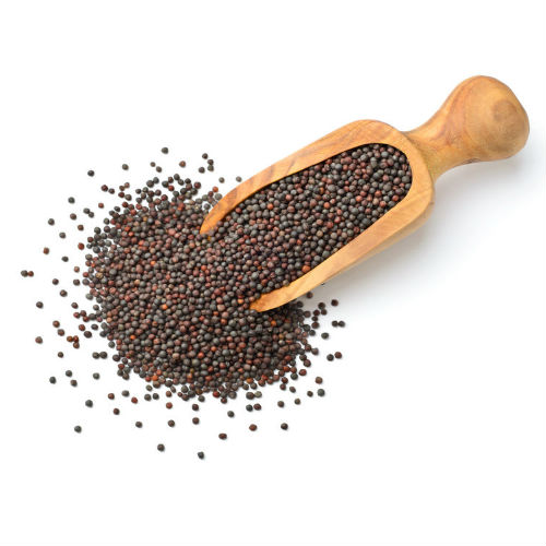 Know The Amazing Benefits of Mustard Seeds