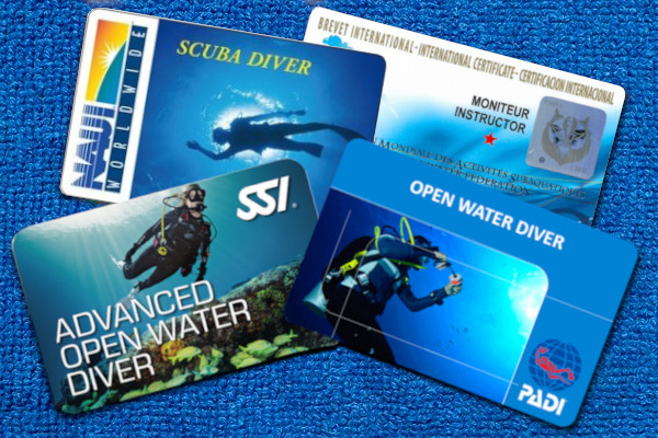 A Comprehensive Guide to Obtaining Your Diver’s Certificate