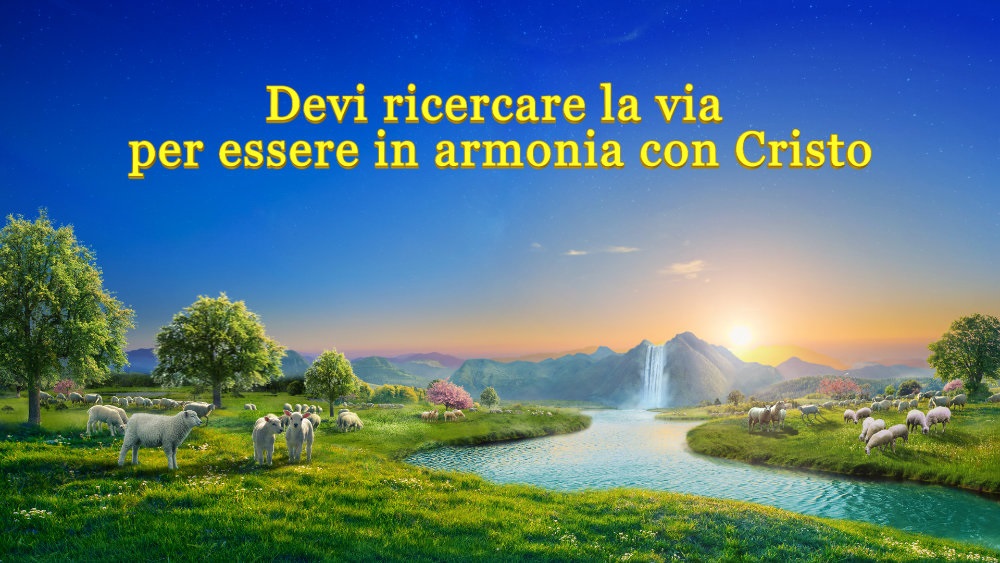 Devi ricercare la via per essere in armonia con Cristo