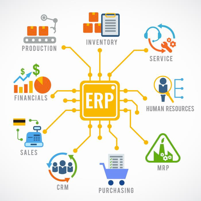 Software ERP (Enterprise Resource Planning): razionalizzazione delle operazioni aziendali