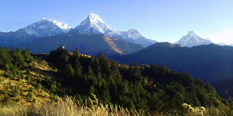 Step into Tranquility: The Serene Journey of Poon Hill Trek in Nepal