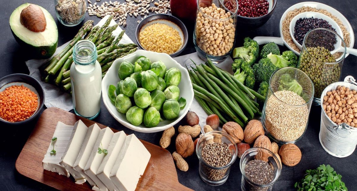 Protein Ingredients Market Trends 2023 | Industry Size, Growth and Forecast 2028