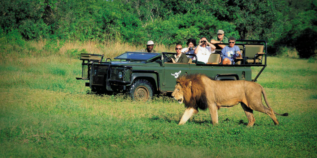 Safari Tourism Market 2023 | Industry Size, Statistics and Forecast 2028