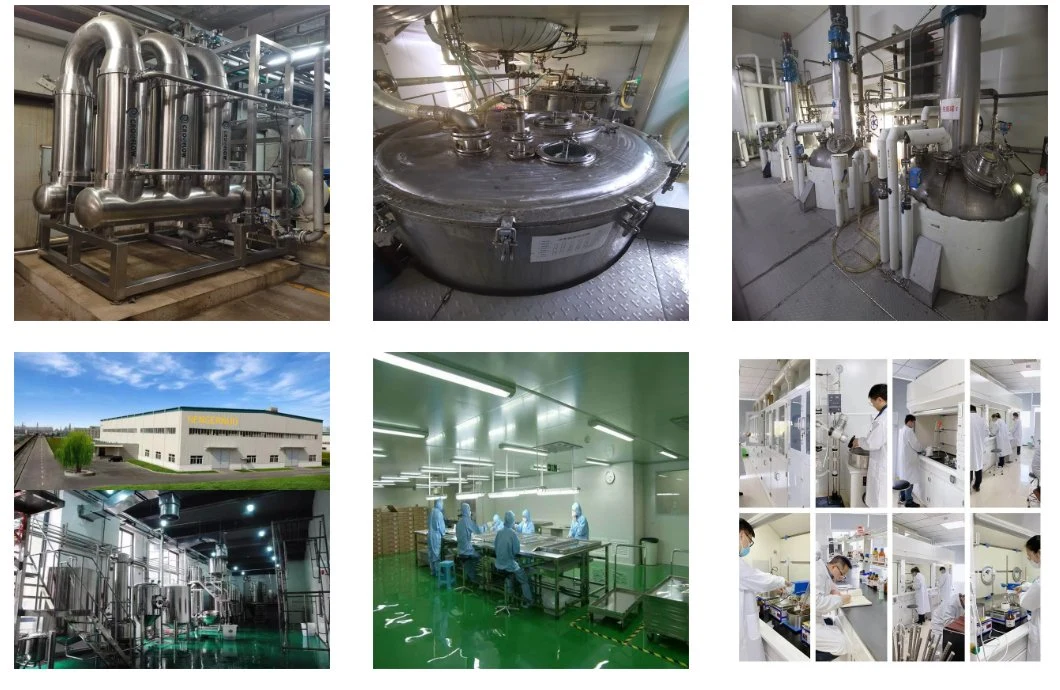 Vitamin D Manufacturing Plant Project Report 2023 | Plant Cost, Comprehensive Business Plan