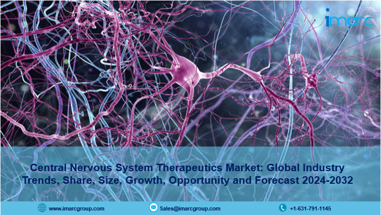 Central Nervous System Cns Therapeutics Market