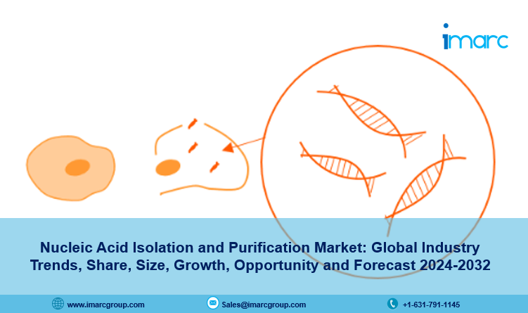 Nucleic Acid Isolation and Purification Market