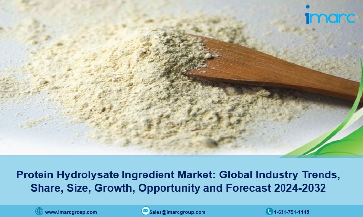 Protein Hydrolysate Ingredient Market
