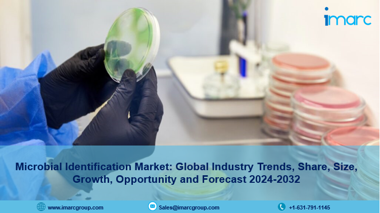 Microbial Identification Market Size, Share & Trends Analysis Report 2024-32