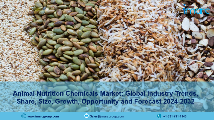 Animal Nutrition Chemicals Market Trends, Size Analysis & Report 2024-2032