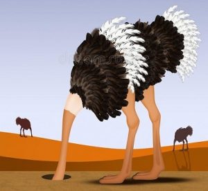ostrich-con-la-testa-nella-sabbia-illustrazione-dello-struzzo-169958631