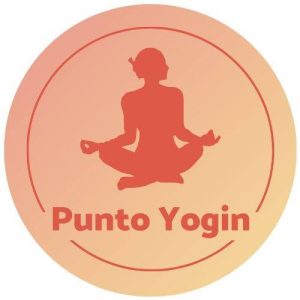 Punto Yogin