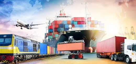 Why Is Software for Transportation Logistics Important